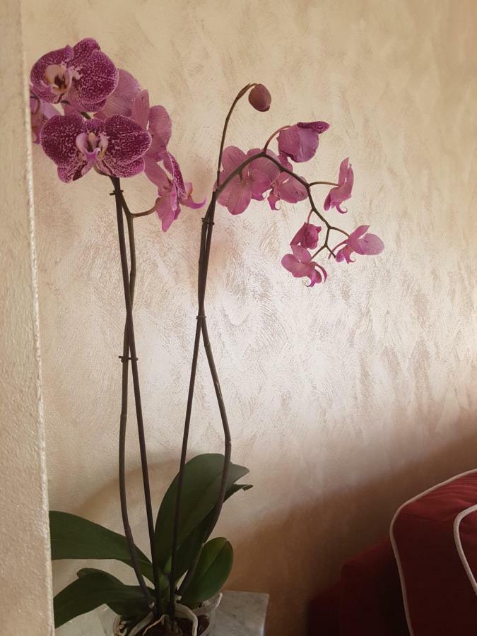 Casa Vacanza Nonna Dora Matera Ngoại thất bức ảnh